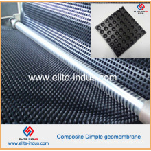 Placa de drenaje de precio reducido HDPE Composite Dimple Geomembrane